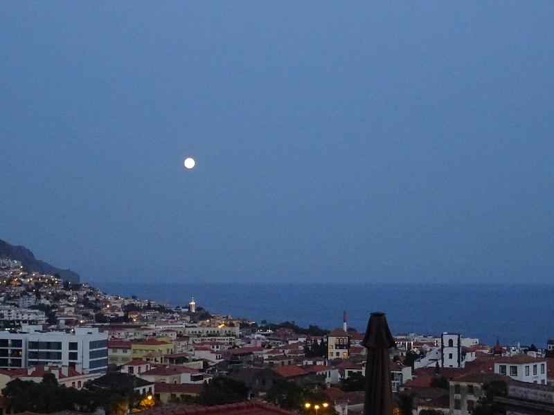 Monte Carlo