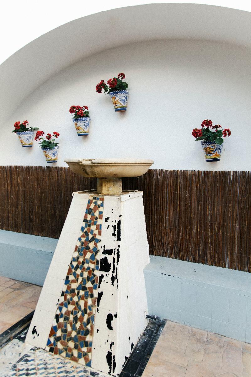 Los Seises By Fontecruz