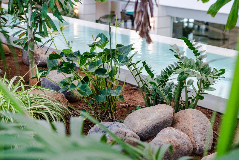 Spring Hotel Vulcano