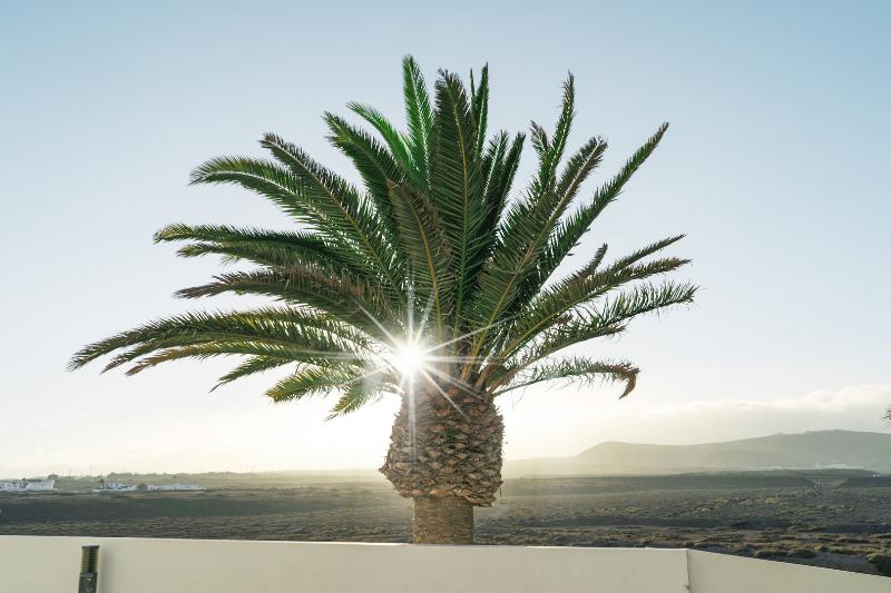 Aequora Lanzarote