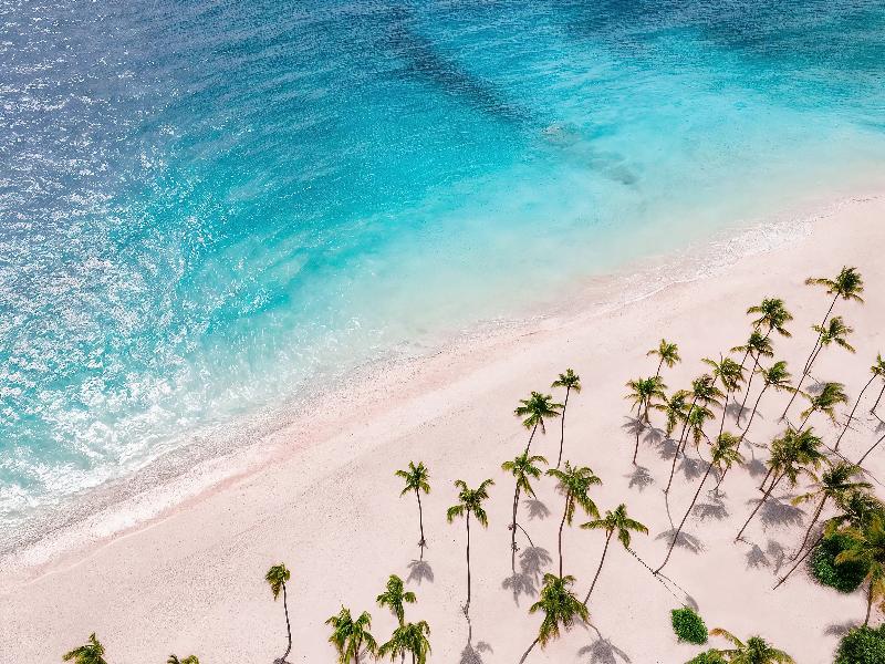 Hyatt Vivid Punta Cana Adults Only