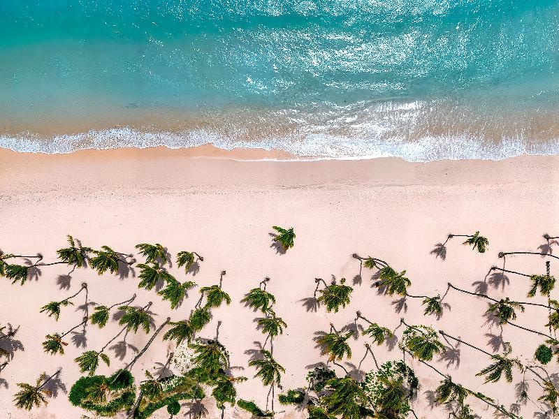 Hyatt Vivid Punta Cana Adults Only
