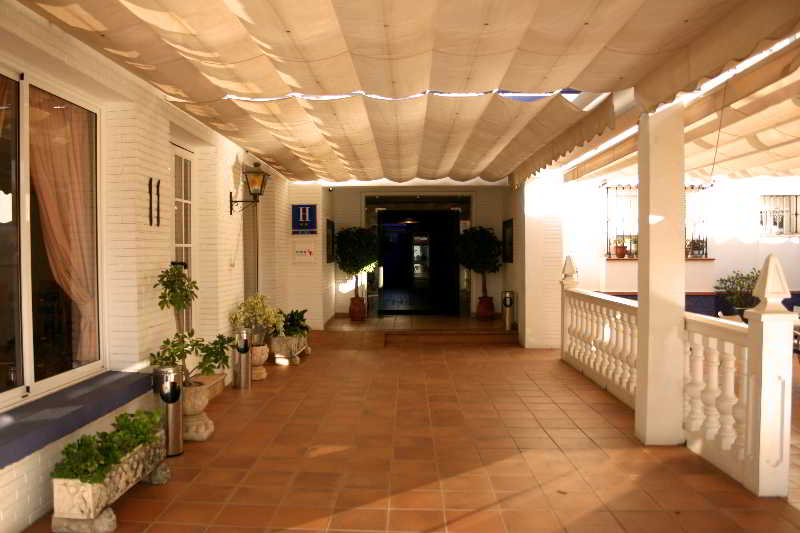 Ayamontino 